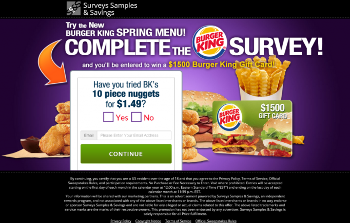 Survey Sample Savings - Burger King Spring (US)-all